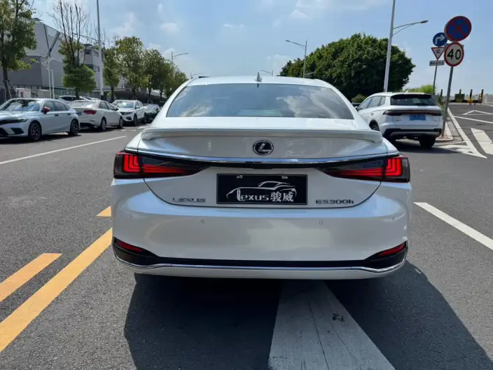 Lexus ES 2020 Model 300h Superior Edition China V – фото 6