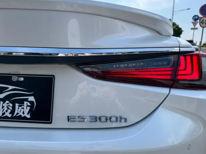 Lexus ES 2020 Model 300h Superior Edition China V – фото 8