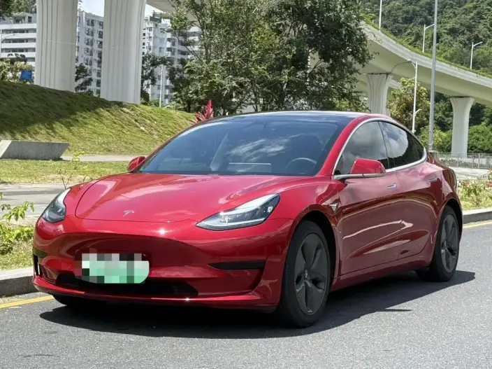 Model 3 2020 Model Standard Battery Life Rear Drive L Class Edition – фото 1