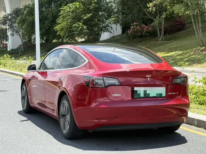Model 3 2020 Model Standard Battery Life Rear Drive L Class Edition – фото 5