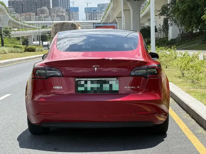 Model 3 2020 Model Standard Battery Life Rear Drive L Class Edition – фото 6