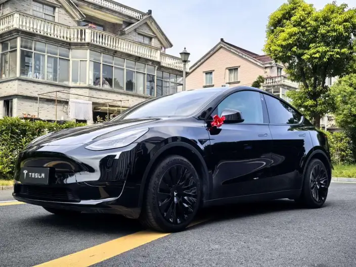 Model Y 2022 Model Facelift Rear-wheel drive version – фото 1