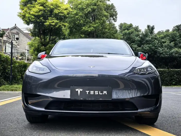 Model Y 2022 Model Facelift Rear-wheel drive version – фото 2