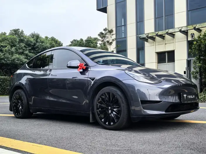 Model Y 2022 Model Facelift Rear-wheel drive version – фото 3