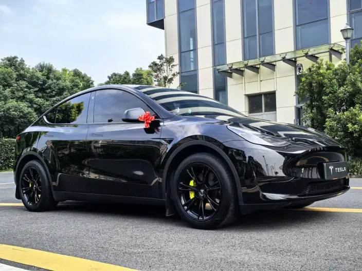 Model Y 2022 Model Facelift Rear-wheel drive version – фото 3