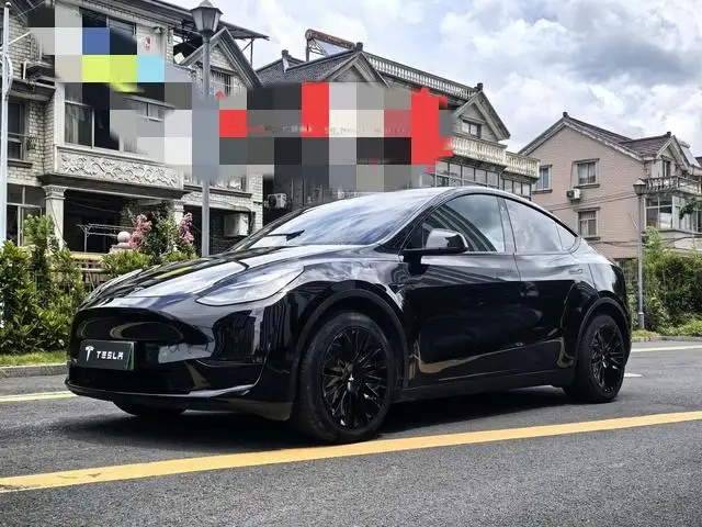 Model Y 2021 Model Standard Battery Life Rear-wheel drive version – фото 1