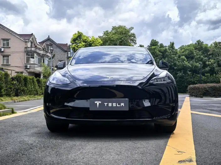 Model Y 2021 Model Standard Battery Life Rear-wheel drive version – фото 2