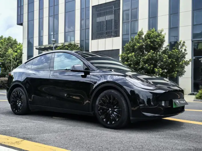 Model Y 2021 Model Standard Battery Life Rear-wheel drive version – фото 3