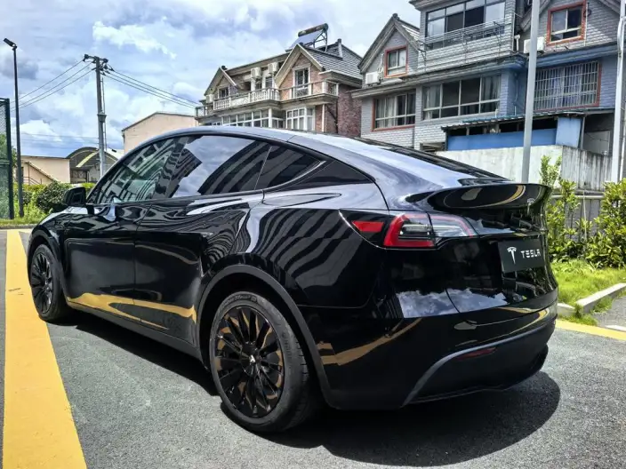 Model Y 2021 Model Standard Battery Life Rear-wheel drive version – фото 4