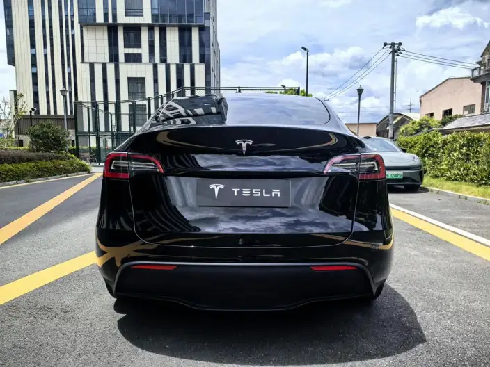 Model Y 2021 Model Standard Battery Life Rear-wheel drive version – фото 5