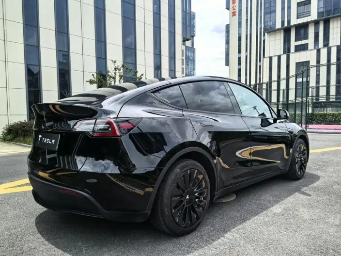 Model Y 2021 Model Standard Battery Life Rear-wheel drive version – фото 6