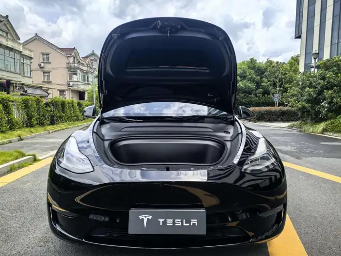 Model Y 2021 Model Standard Battery Life Rear-wheel drive version – фото 8