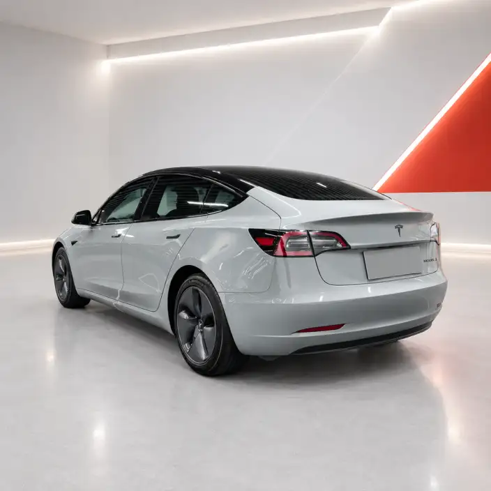 Model 3 2020 Model Standard Battery Life Rear Drive L Class Edition – фото 4