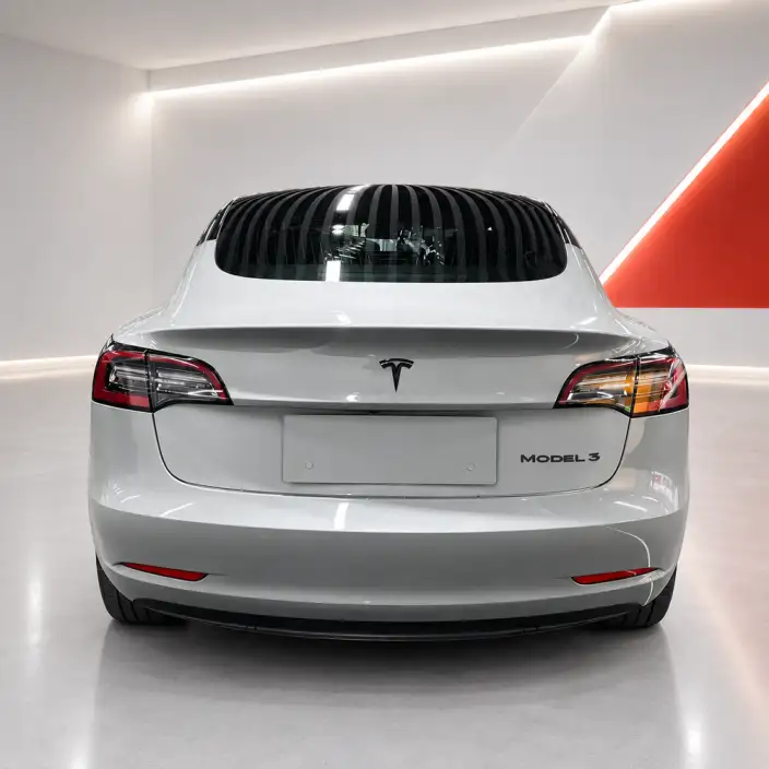 Model 3 2020 Model Standard Battery Life Rear Drive L Class Edition – фото 5