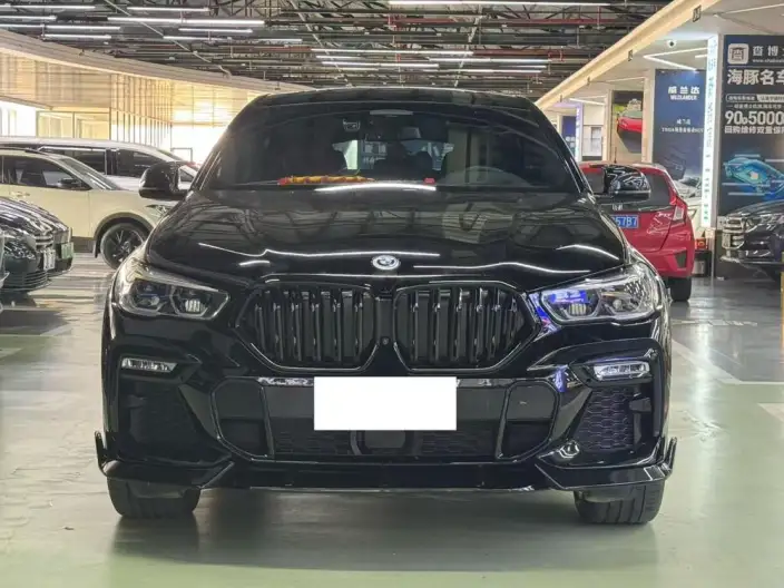 BMW X6 2020 Model xDrive40i Exclusive Model M Sports Set – фото 2