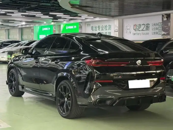 BMW X6 2020 Model xDrive40i Exclusive Model M Sports Set – фото 4