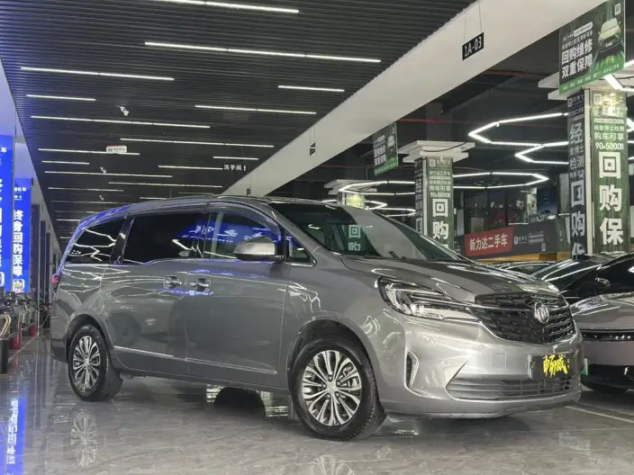 Buick GL8 2021 Model Business class 652T Luxury Model – фото 3