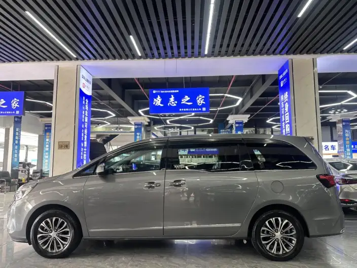 Buick GL8 2021 Model Business class 652T Luxury Model – фото 4