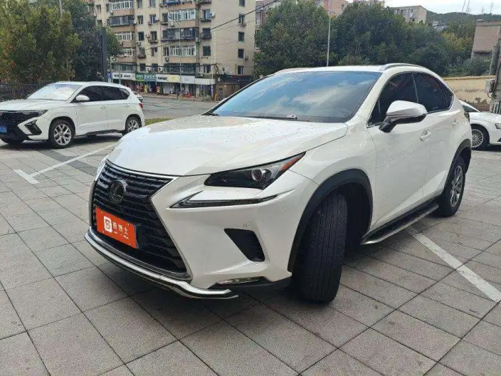 Lexus NX 2020 Model 200 Quan Drive Fengshang Edition China V – фото 1
