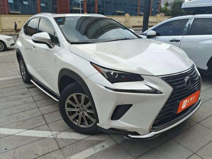 Lexus NX 2020 Model 200 Quan Drive Fengshang Edition China V – фото 2