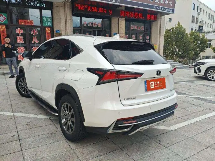 Lexus NX 2020 Model 200 Quan Drive Fengshang Edition China V – фото 3