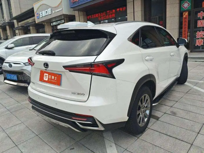 Lexus NX 2020 Model 200 Quan Drive Fengshang Edition China V – фото 4