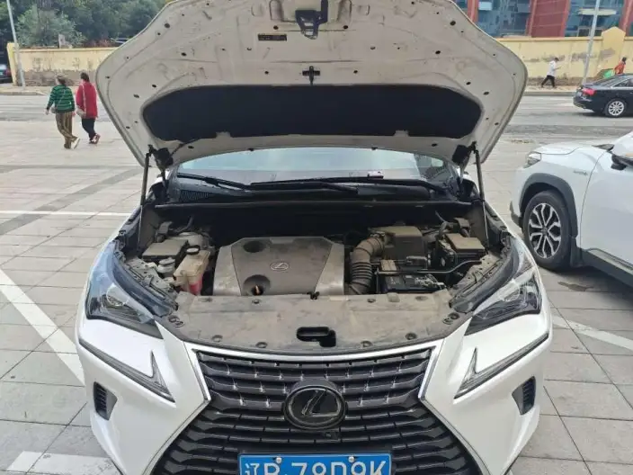 Lexus NX 2020 Model 200 Quan Drive Fengshang Edition China V – фото 5