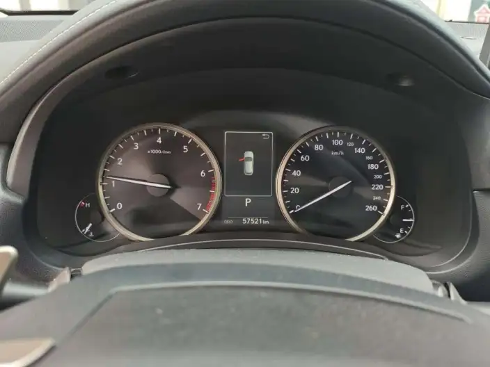 Lexus NX 2020 Model 200 Quan Drive Fengshang Edition China V – фото 10