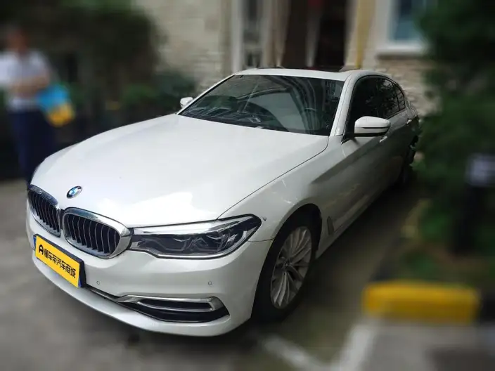 BMW 5 Series 2020 Model 530Li Leading Model Luxury Set – фото 1
