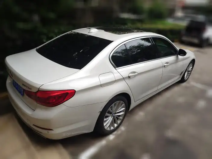 BMW 5 Series 2020 Model 530Li Leading Model Luxury Set – фото 2