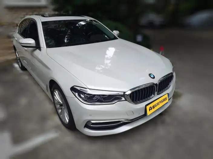 BMW 5 Series 2020 Model 530Li Leading Model Luxury Set – фото 3