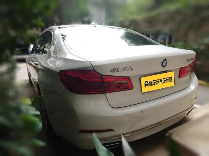 BMW 5 Series 2020 Model 530Li Leading Model Luxury Set – фото 4