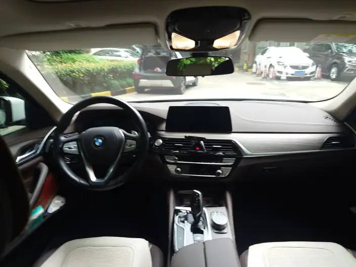 BMW 5 Series 2020 Model 530Li Leading Model Luxury Set – фото 5