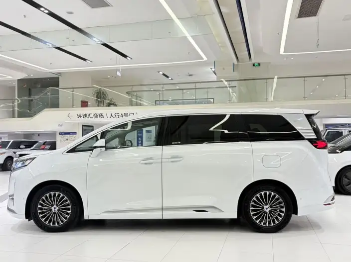 DENZA D9 DM 2022 Model 970 4WD Flagship Model – фото 4