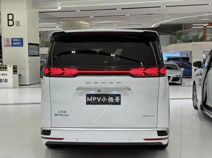 DENZA D9 DM 2022 Model 970 4WD Flagship Model – фото 6
