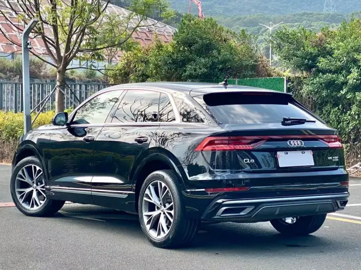 Audi Q8 2021 Model 55 TFSI Luxury Dynamic Model – фото 4