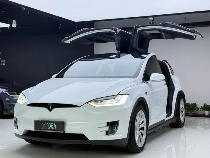 Model X 2020 Model Long Battery Life Pro L Class Edition