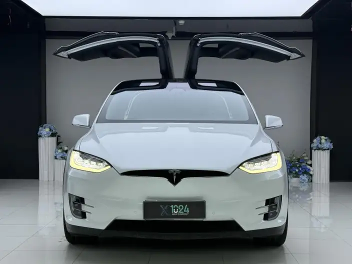 Model X 2020 Model Long Battery Life Pro L Class Edition