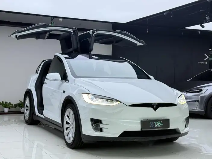 Model X 2020 Model Long Battery Life Pro L Class Edition