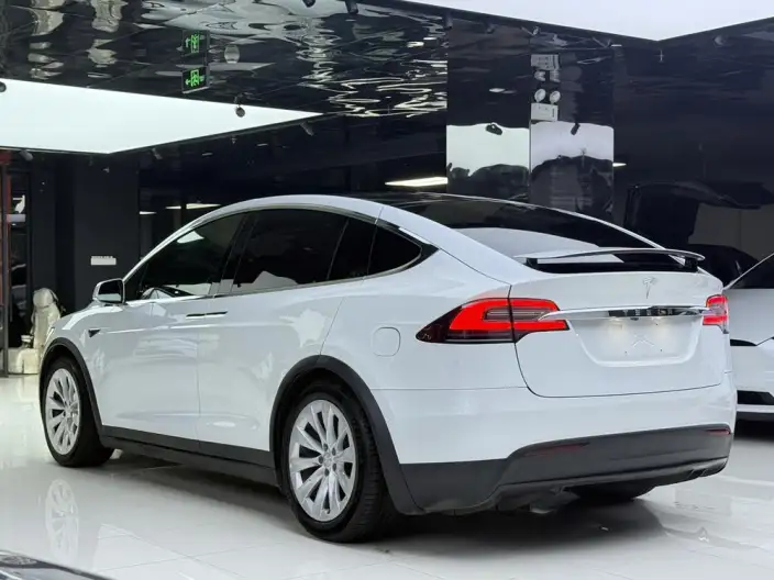 Model X 2020 Model Long Battery Life Pro L Class Edition