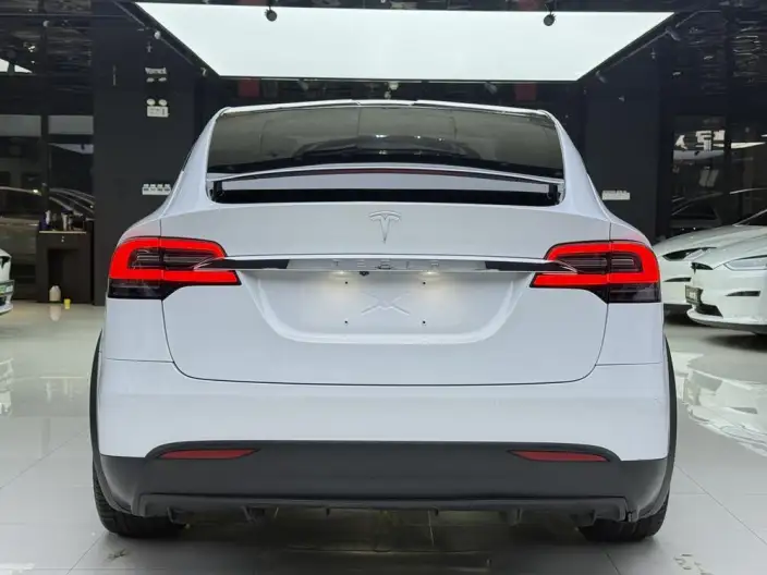 Model X 2020 Model Long Battery Life Pro L Class Edition – фото 5