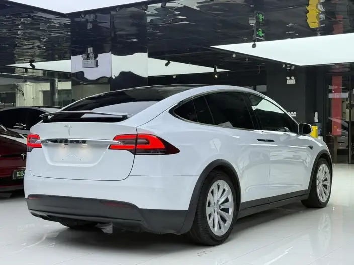 Model X 2020 Model Long Battery Life Pro L Class Edition – фото 6