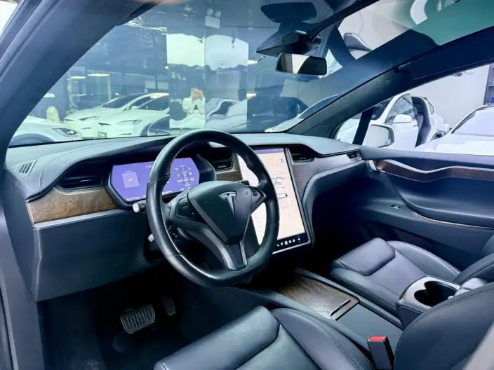 Model X 2020 Model Long Battery Life Pro L Class Edition – фото 8