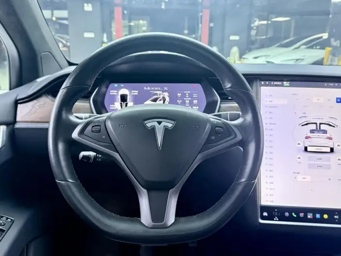 Model X 2020 Model Long Battery Life Pro L Class Edition – фото 9