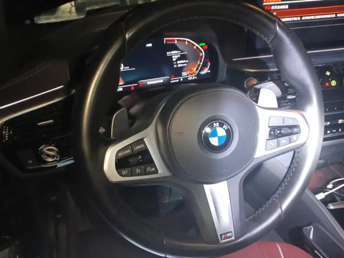 BMW 5 Series 2021 Model 530Li Leading Model M Sports Set – фото 7