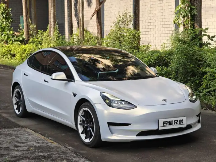 Model 3 2021 Model Standard Battery Life Rear Drive L Class Edition 3D1