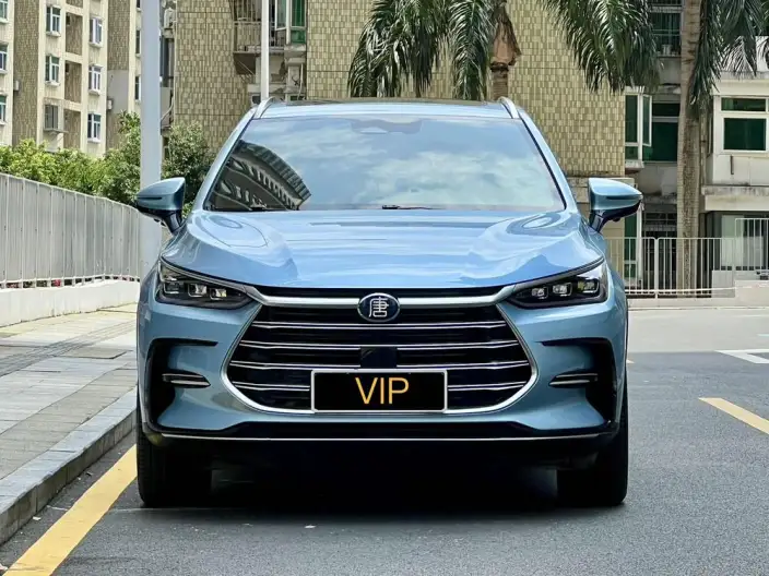 BYD Tang DM 2023 Model DM-i Champion Edition 112KM Exclusive Model – фото 2