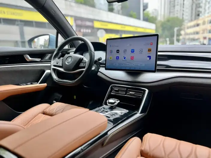 BYD Tang DM 2023 Model DM-i Champion Edition 112KM Exclusive Model – фото 8