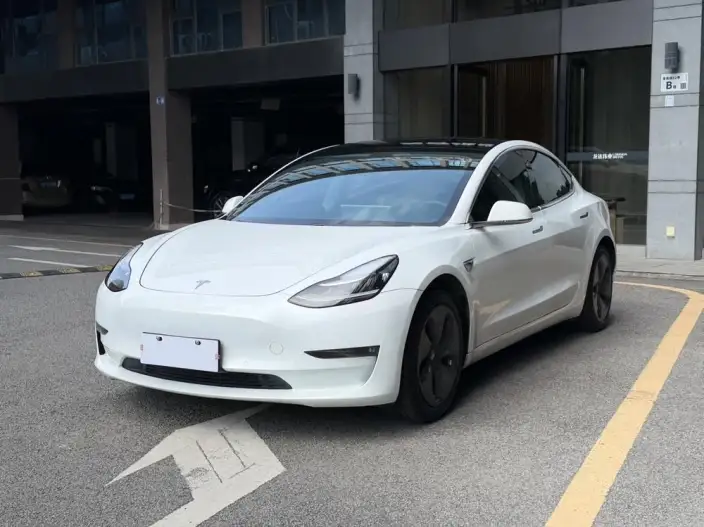 Model 3 2020 Model Facelift Long Battery Life Pro Rear-wheel drive version – фото 1