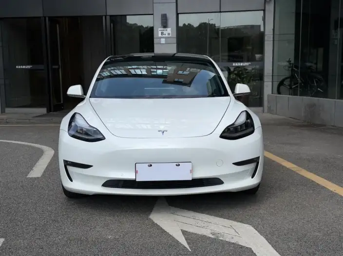 Model 3 2020 Model Facelift Long Battery Life Pro Rear-wheel drive version – фото 2
